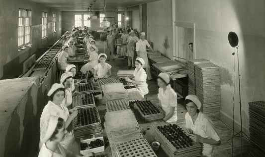 Top 10 Facts About Reese's Candy History